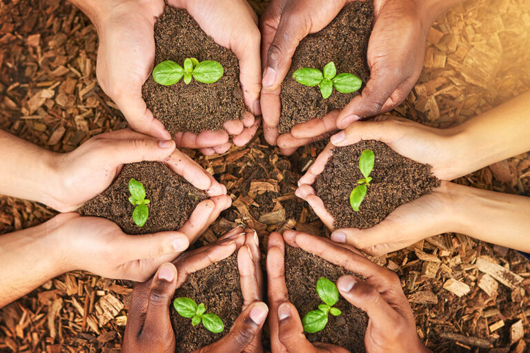 Environmental Protection in Madurai